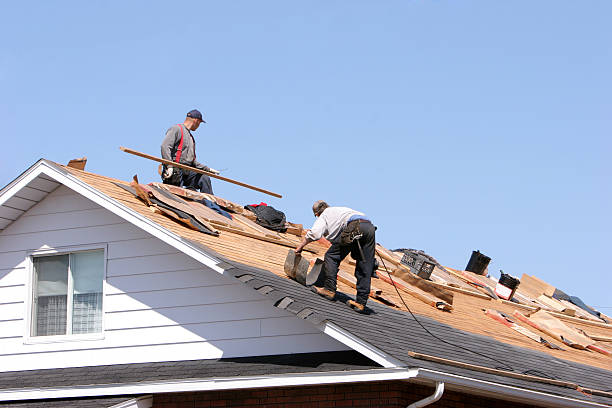 Best Solar Panel Roofing Installation  in Maysville, MO
